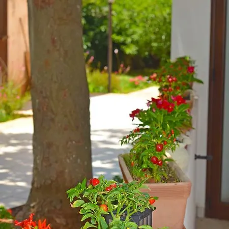 فندق مبيت وإفطار Magnolia مورتشانو دي ليوكا