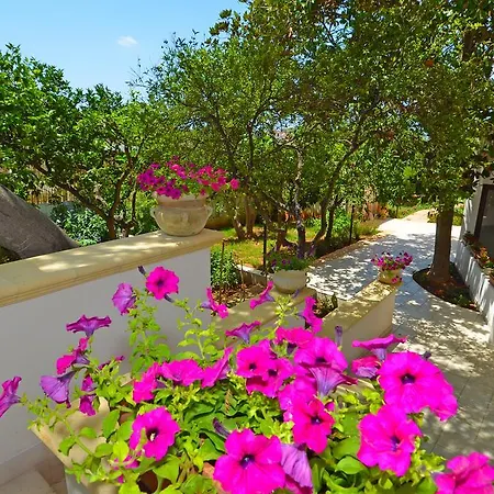 Magnolia مورتشانو دي ليوكا