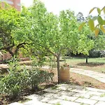 Magnolia 모르치아노 디 루카