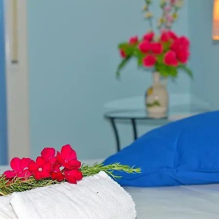 Magnolia Morciano di Leuca