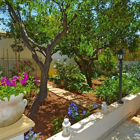 Magnolia Morciano di Leuca