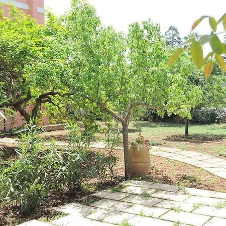 Magnolia Morciano di Leuca