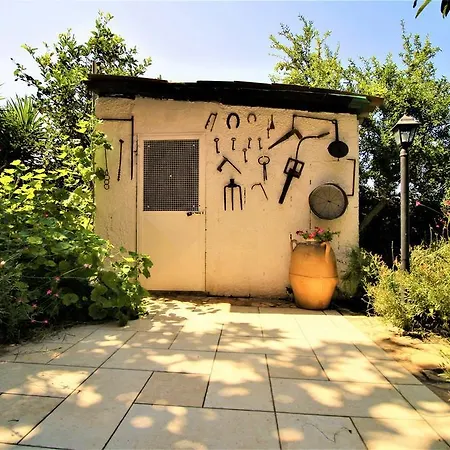 Magnolia Morciano di Leuca