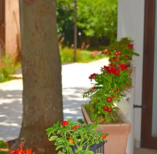 Panzió Magnolia Morciano di Leuca