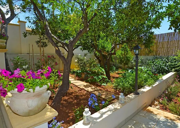 Magnolia 莫尔恰诺迪莱乌卡