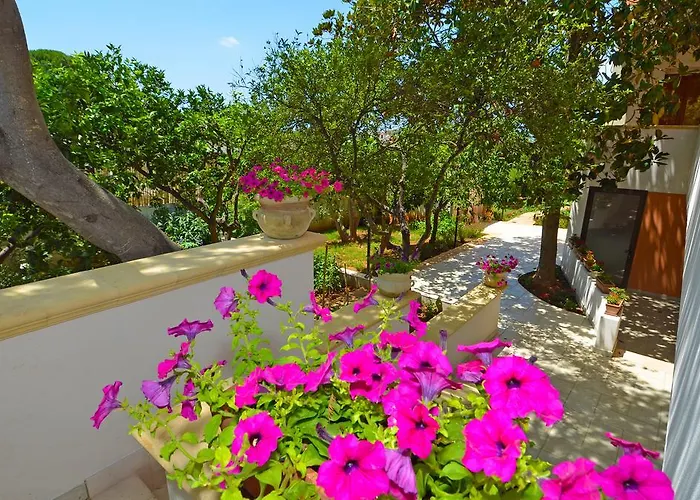 Magnolia Morciano di Leuca