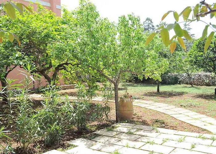 Magnolia Morciano di Leuca